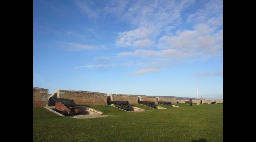 Fort George cannons