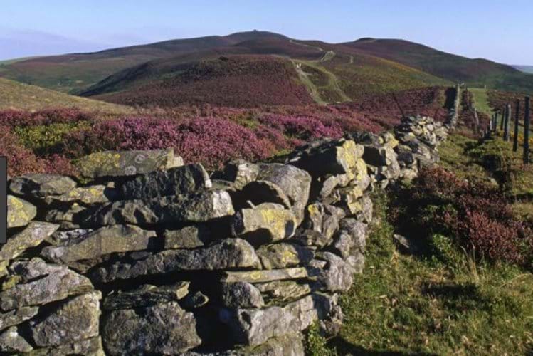 Local Area - The Lodge Dyserth