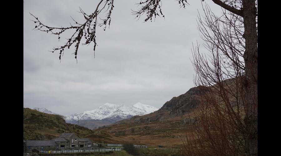 View of Snowdon from garden