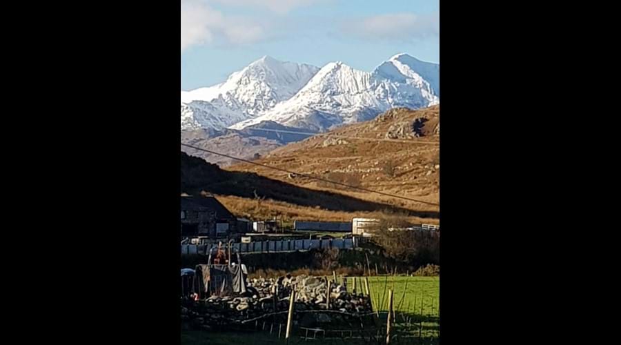 View of Snowdon from garden
