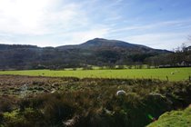 View across fields to Moel Siabod