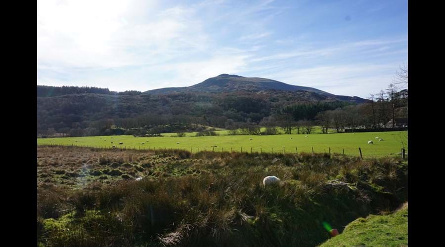 View across fields to Moel Siabod