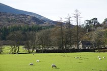 View across fields to St. Julitta