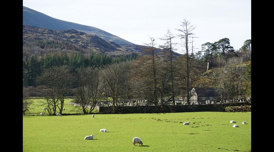 View across fields to St. Julitta