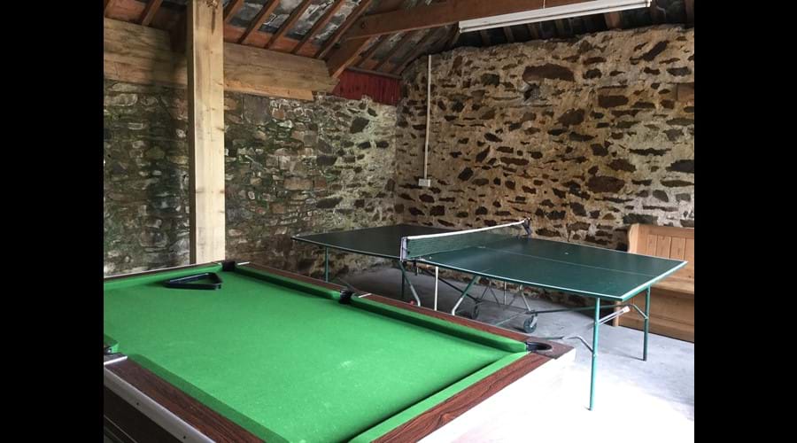 Games room with pool table and table tennis