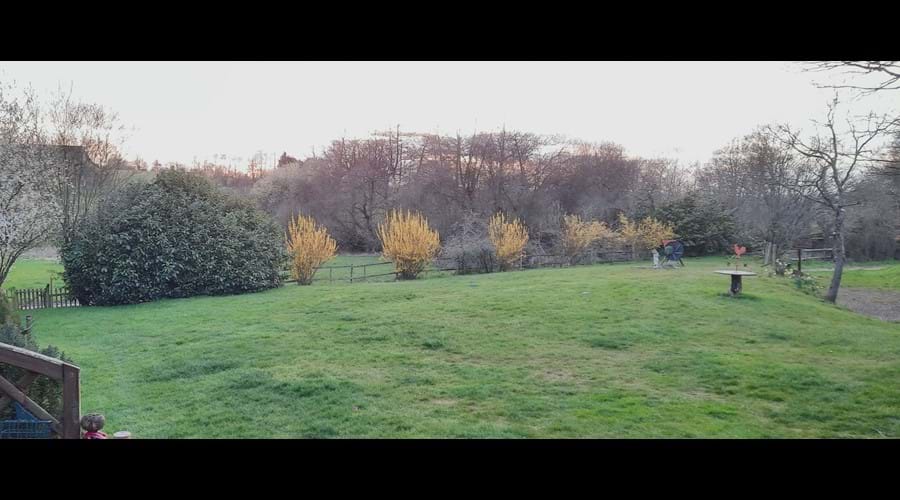 Rear garden