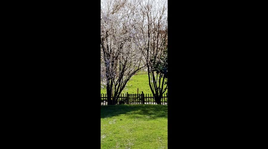 Back garden gate
