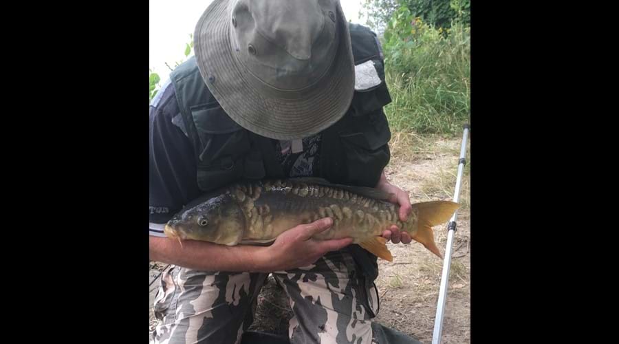 One of the Carp caught at our Lake