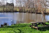 Lake seating area