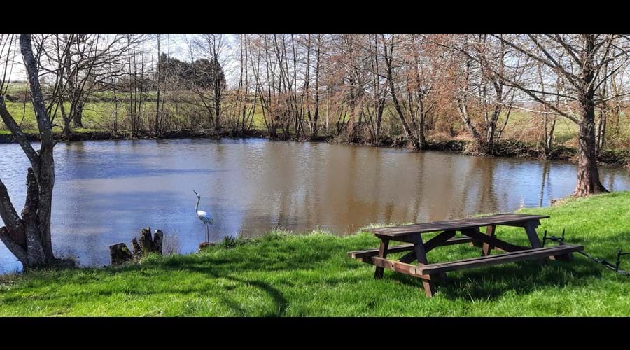 Lake seating area
