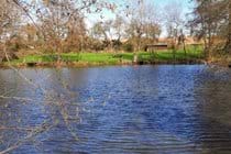 Lake view