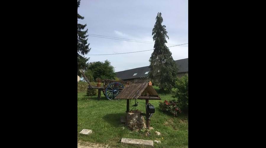 Front Garden Photo