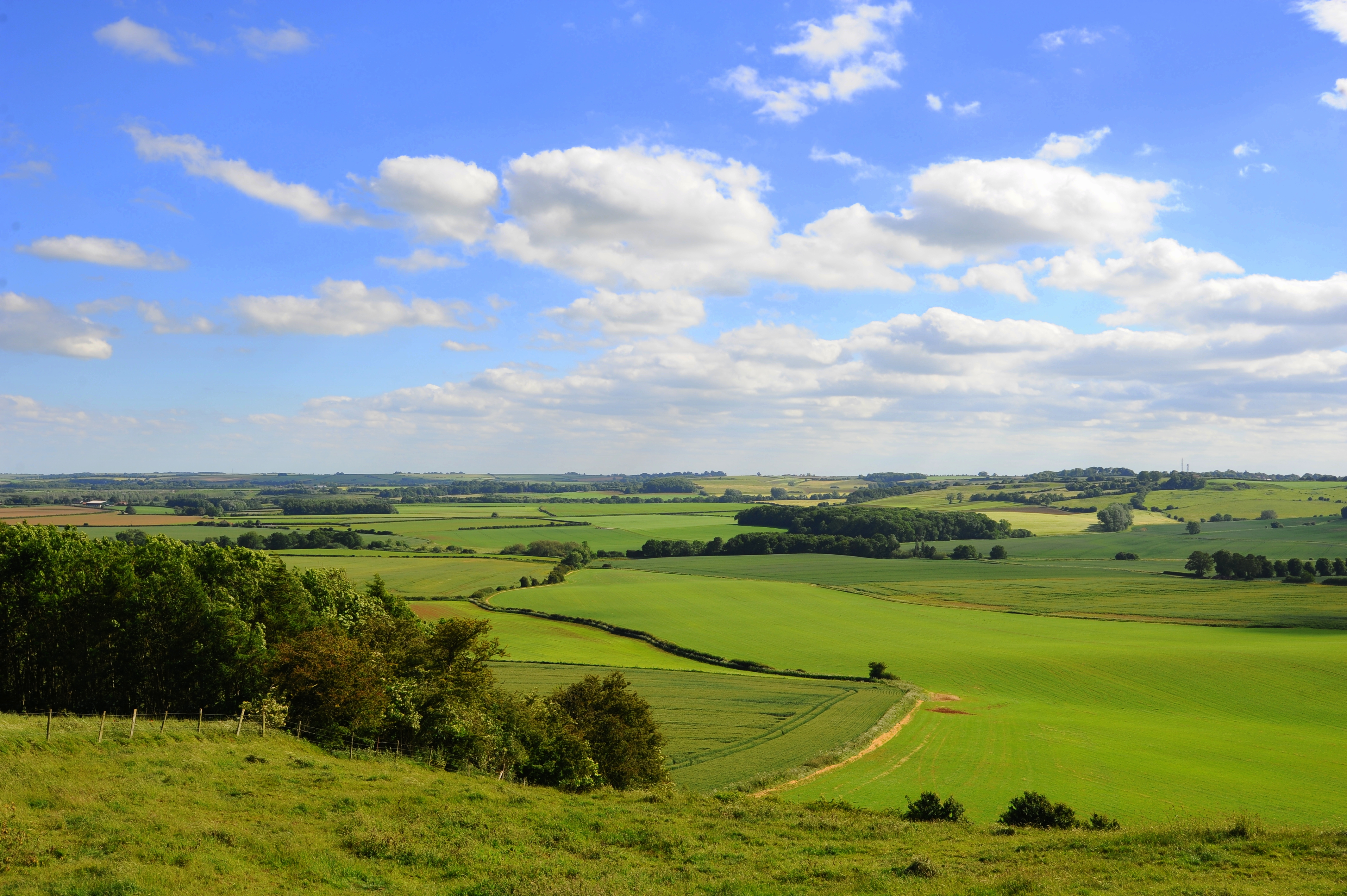 Bluestone Heath Road, Tetford