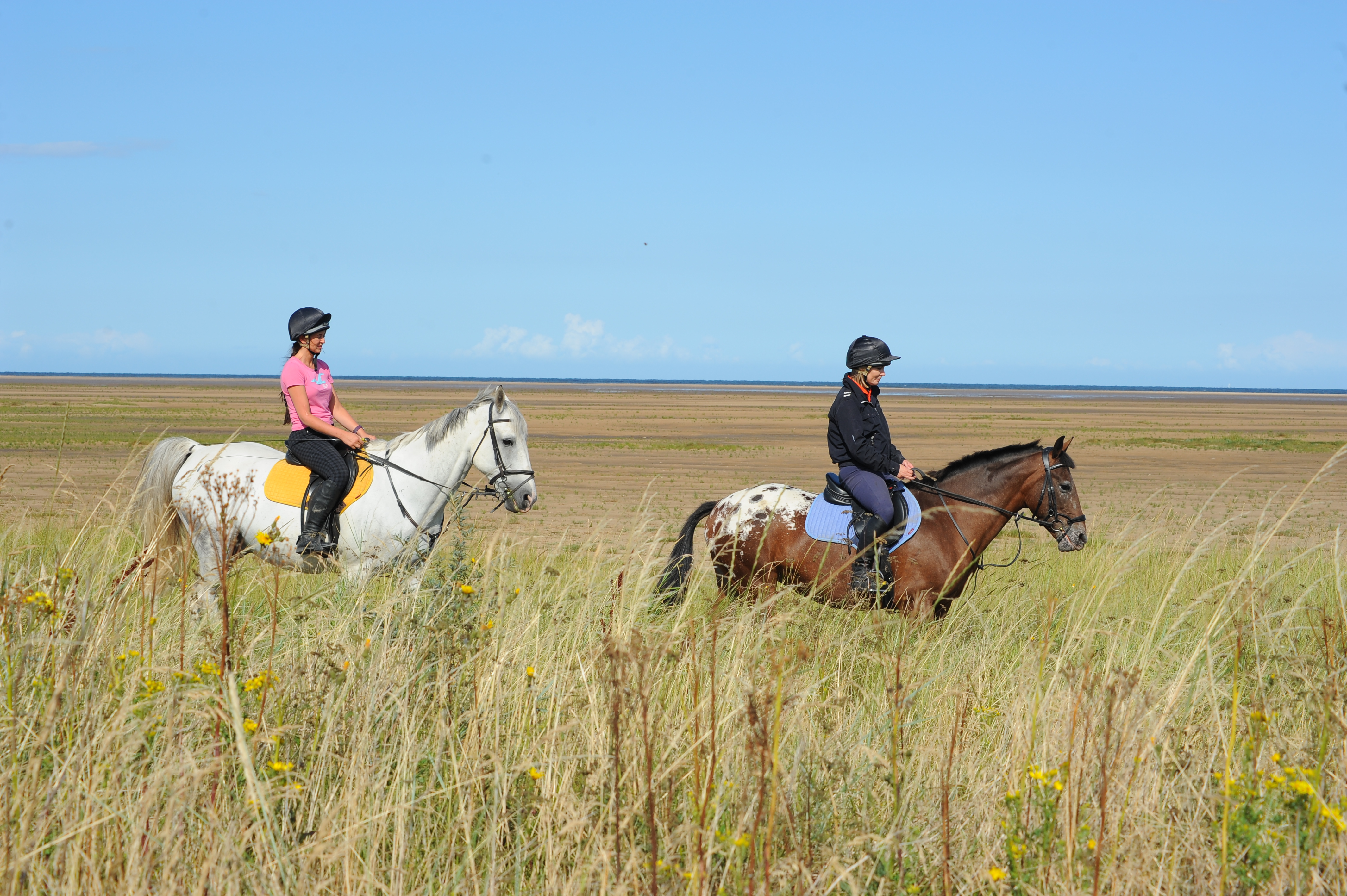 Coastline near Louth.