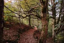 Autumn walk through Glen Helen