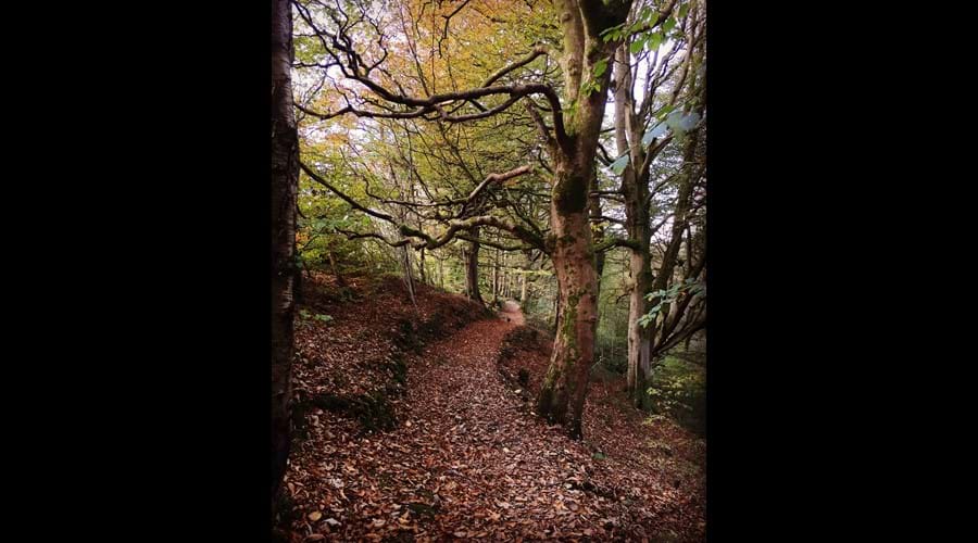 Autumn walk through Glen Helen