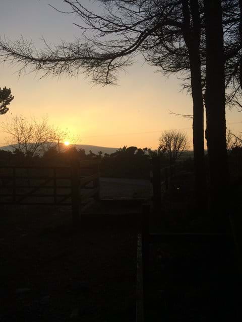 Sunset from Archallagan plantation