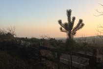 Sunset from Archallagan plantation