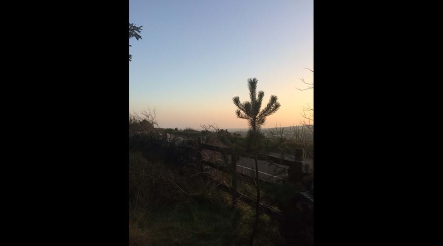 Sunset from Archallagan plantation