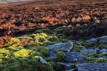Rolling mists, looking across central valley from the top of South Barrule