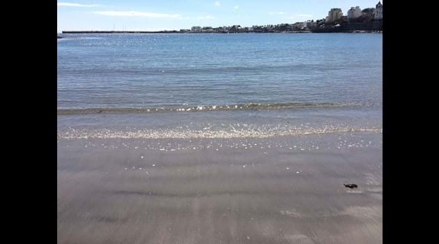 Shimmering sea on Chapel beach, Port St Mary
