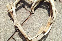Driftwood heart