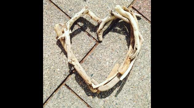 Driftwood heart