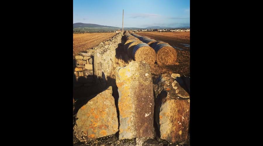 Sunlit hay bales on a walk from Scarlett point, Castletown