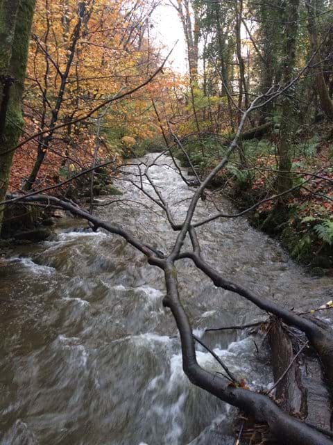 Fast flowing river at Molly Quirk