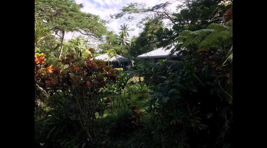 Our villas are nestled amongst private gardens.