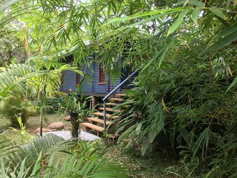 Escape to your very own tropical retreat. Peaceful and private.