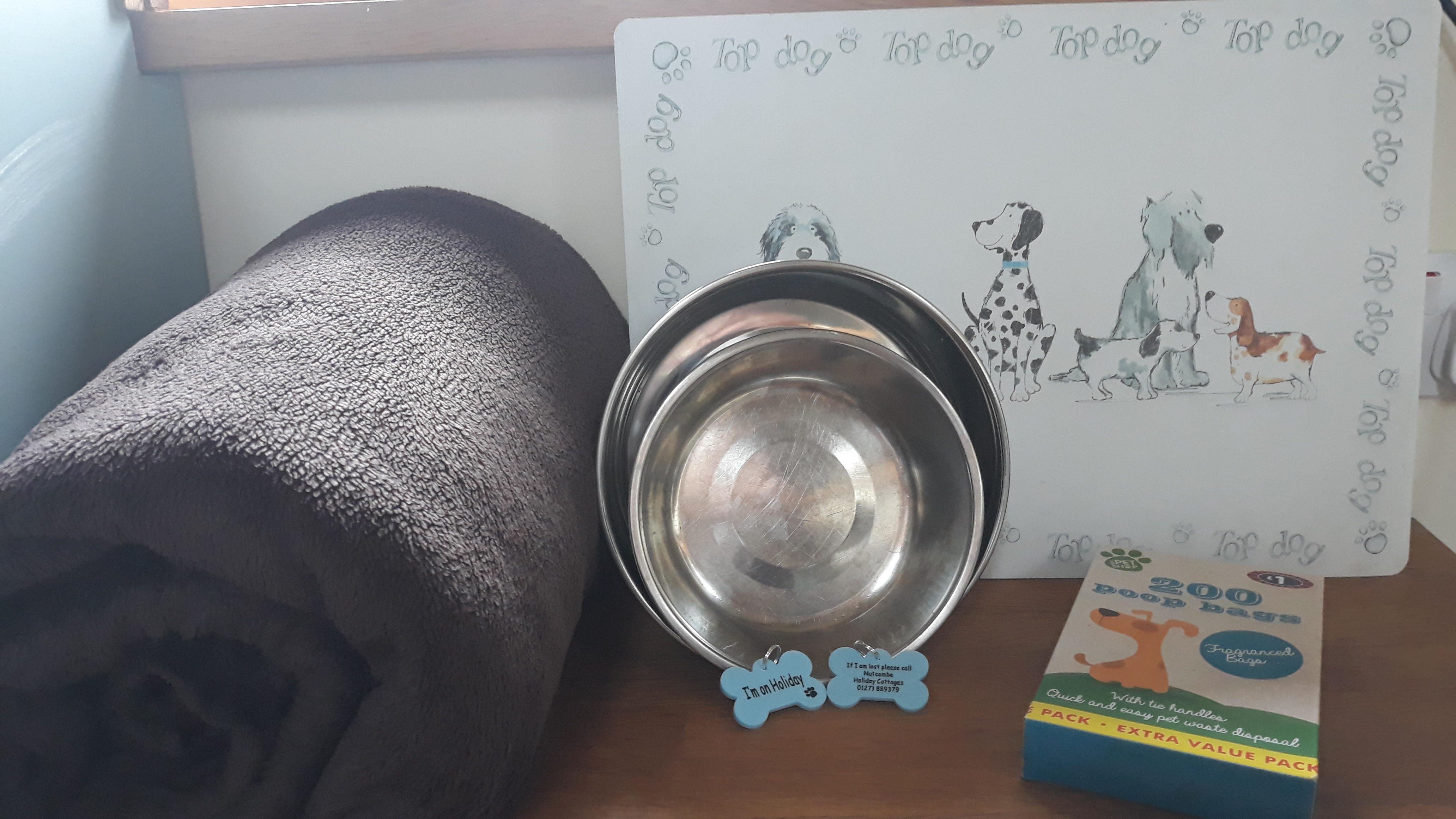 What we provide for dogs