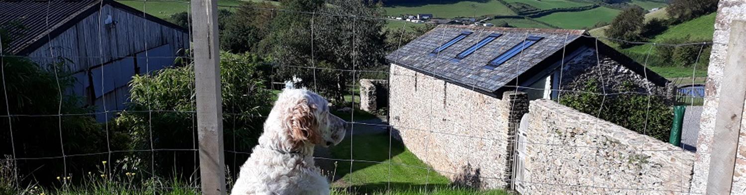 0, 99, 1500, 392, 1000, 261