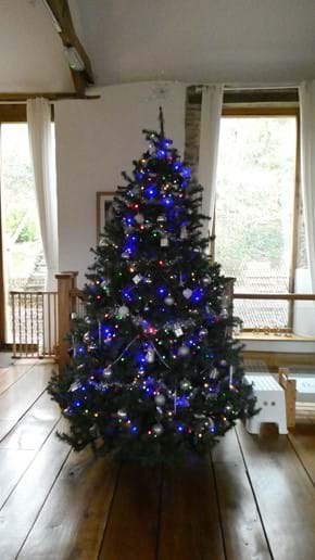 Beautiful 7 Foot Christmas Tree in Nutcombe Barn