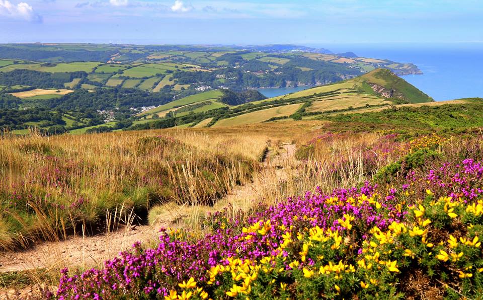 The Hangman Hills
