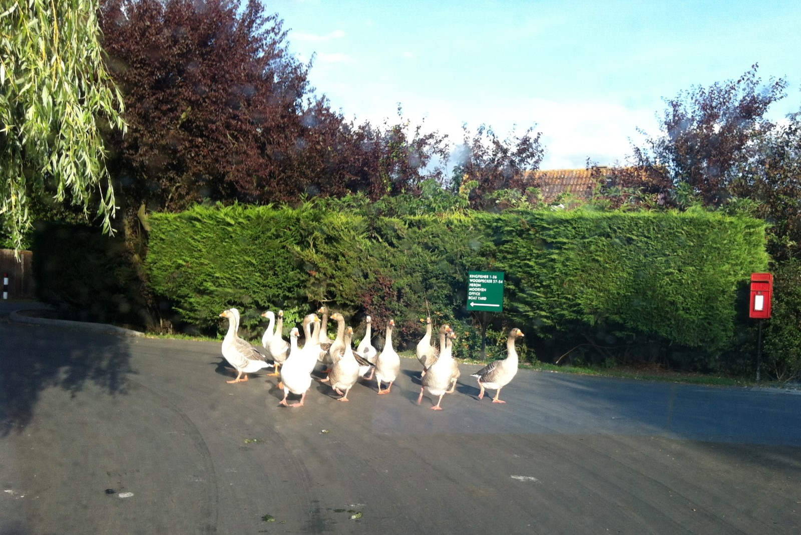 Welcoming committee (unreliable)