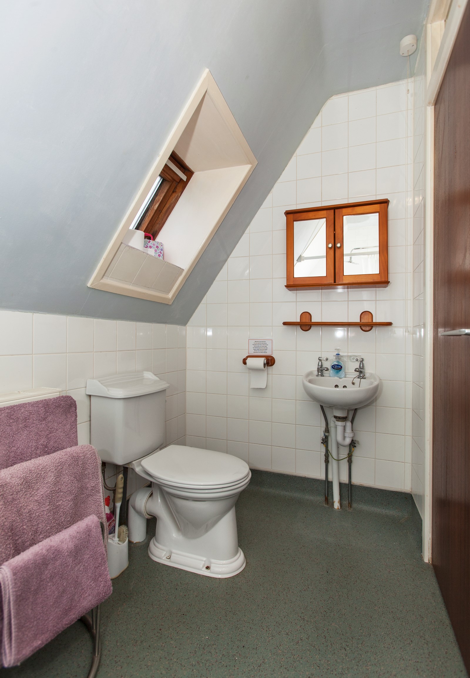 wet room-shower, toilet ,sink