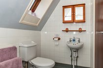 wet room-shower, toilet ,sink
