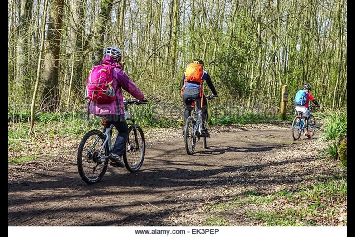 Grafham Water Holiday Lodge Cambridgeshire