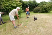 Croquet in the garden - with two happy greyhounds!