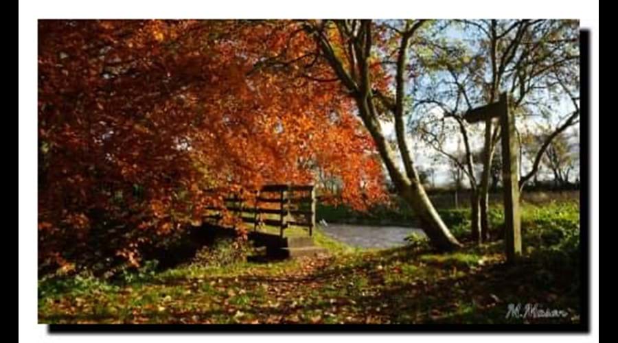 Autumn colour on riverside walk