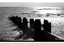 Winter sun on Alnmouth beach