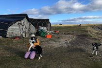 Fishermans Huts Holy Island