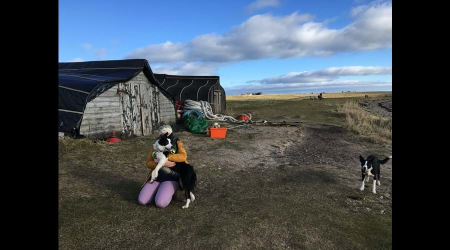 Fishermans Huts Holy Island