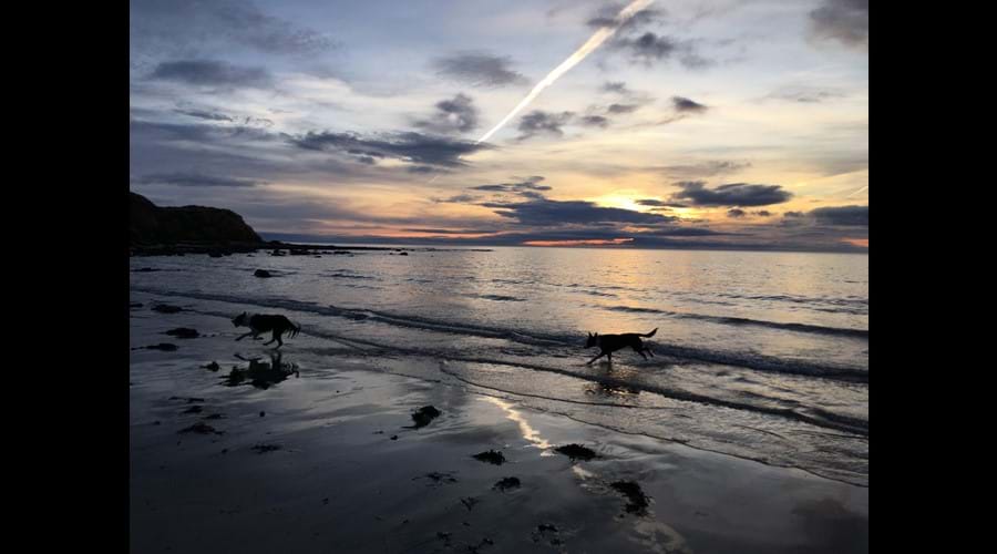 Morning walk Seaton Point