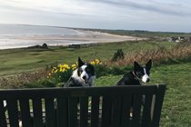 Alnmouth Bay from Bracken hill