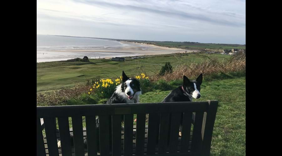 Alnmouth Bay from Bracken hill