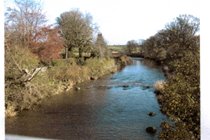 River Aln from footbridge