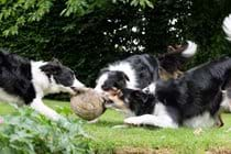 Football fun in back garden