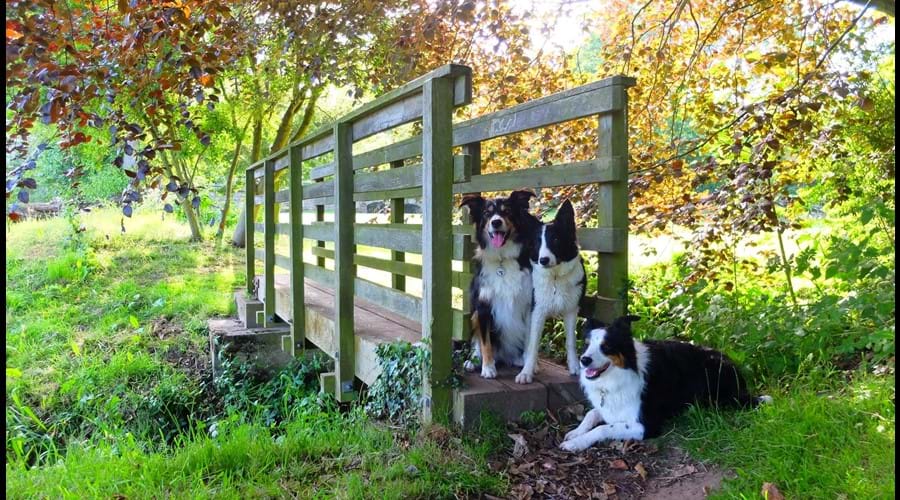 Start of riverside walk